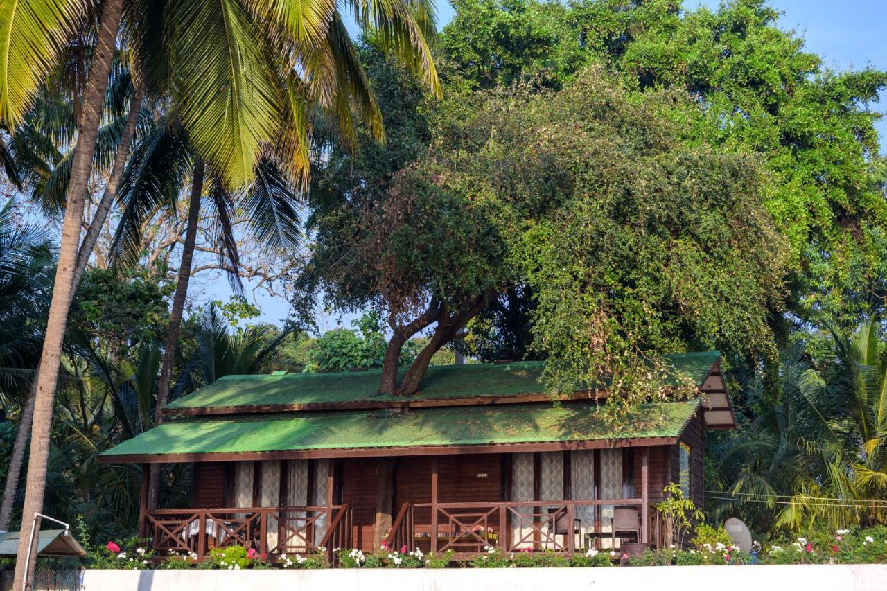 Saffronstays Little Paradise, Murud エクステリア 写真